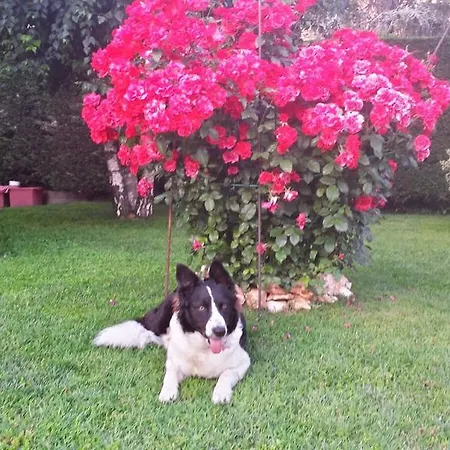 Casa Sammo Piobesi d'Alba