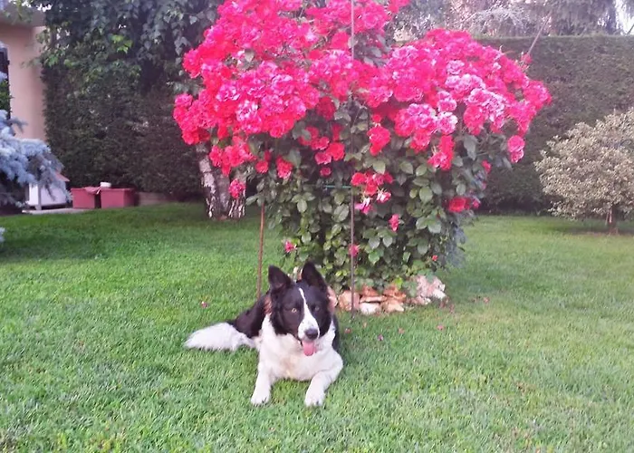 Casa Sammo Piobesi d'Alba